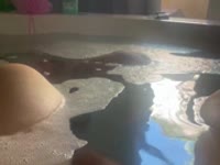 Femme libre souvent accompagner aime faire plaisir aux autres