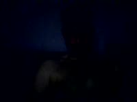 A little playful and shy, I wouldn