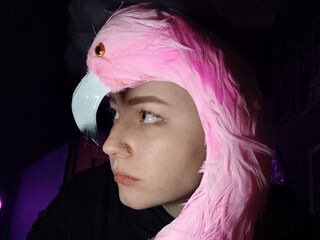 adult webcam chat AlexJackson